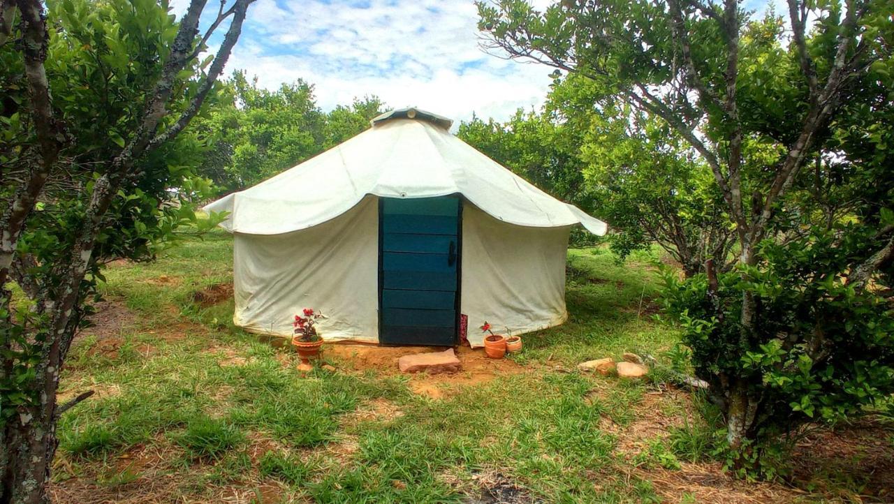 La Pacha Hostel Баричара Экстерьер фото