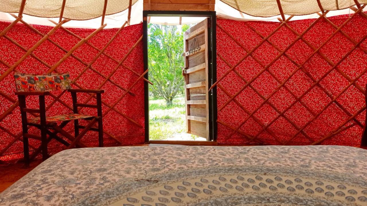 La Pacha Hostel Баричара Экстерьер фото
